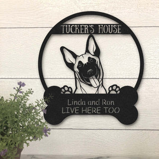 Belgian Shepherd Dog Lovers Funny Personalized Metal House Sign Laser Cut Metal Signs Custom Gift Ideas