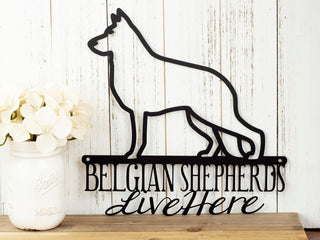 Belgian Shepherds Live Here Metal Sign Black Metal Sign Dog Sign Door Sign Wall Hanging Wall Plaque Decorations